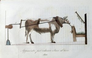 Készülék az ökrök vonalhoz szoktatására. A tábla a "" Journal of Agriculture, Arts and Technikák" című lapból (Revue d