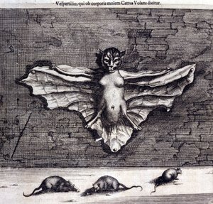 Denevérek és patkányok. „De China Monumenta”, Athanasius Kircher alkotó: Unknown artist