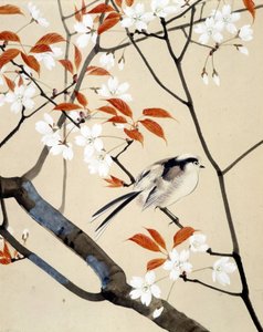 Virágzó madár és cseresznyefa – Riou Chim japán rajza, 19. század vége alkotó: Unknown artist