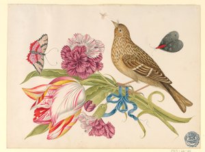 Madár tulipánnal, szegfűvel, pillangókkal és rovarral alkotó: Unknown artist