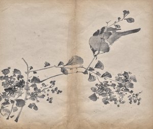 Virágok alkotó: Unknown artist
