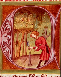Botanikai: átültetést gyakorló kertész. Pietro de Crescenzi (Crescens Stone vagy Crescens Stone) (1233-1320) „A rusztikus vagy az ország és a vidéki haszon könyvéből” (Rerum ruralium commodorum) vett miniatűr (1233-1320) 14. századi Prága, Nemzeti Könyvtár alkotó: Unknown artist