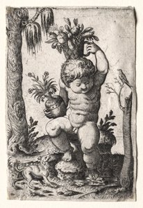 Fiú gyümölcskosárral alkotó: Unknown artist