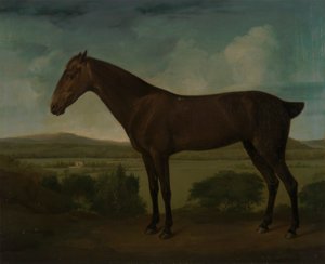 Barna ló dombos tájon alkotó: Unknown artist