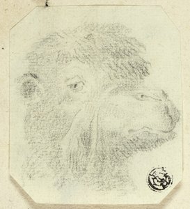 Tevérfej jobbra néző alkotó: Unknown artist