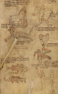 Konstellációs diagramok alkotó: Unknown artist