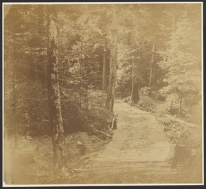 [Corduroy Road a Harper