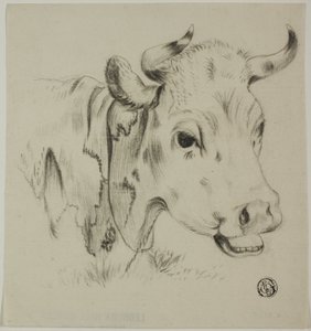Tehénfej alkotó: Unknown artist