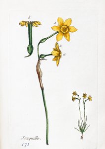  alkotó: Unknown artist