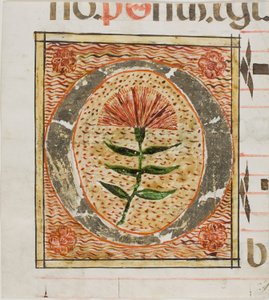 Díszített "O" kezdőbetű virágokkal egy kéziratból alkotó: Unknown artist