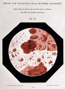 A színezőanyag lerakódása oxidációval: lerakódás hat hónapig virág vagy betegség nélkül kiürített látómezőbe. 400/1 mikroszkopikus nézet. Pasteur tanulmánya a borról 1866. alkotó: Unknown artist