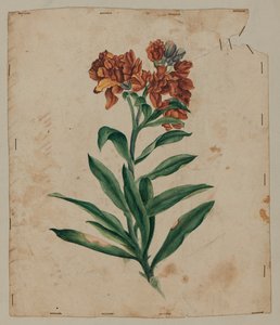 Tervrajz, 18. század eleje alkotó: Unknown artist