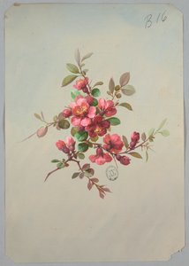 Tapéta és textíliák tervezése: Virágok alkotó: Unknown artist