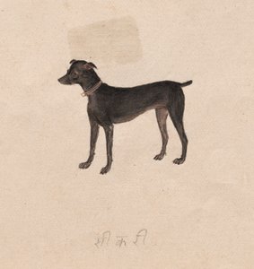Kutya alkotó: Unknown artist