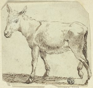 Donkey alkotó: Unknown artist