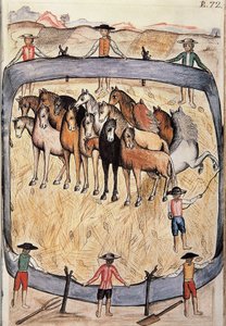 Vadlovak díjlovaglása, a "Trujillo del Peru" vagy a "Codex Martinez Companion" könyvből, Baltazar Martinez Companion és Bujanda, Trujillo püspöke (1782-1785) alkotó: Unknown artist
