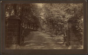 [Silver Spring bejárata] alkotó: Unknown artist