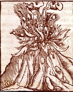 Egy vulkán kitörése. 16. századi metszet. alkotó: Unknown artist