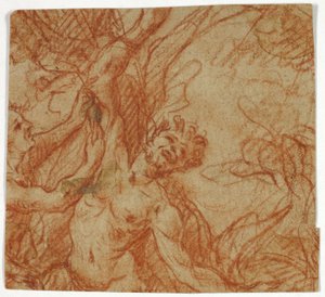 Marsyas megnyúzása alkotó: Unknown artist
