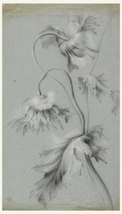 Virágos Design alkotó: Unknown artist