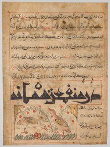 Abu Said Ubaid-Allah ibn Jibrail ibn Bakhtishu (meghalt 1058–68) perzsa Manafi al-Hayawan (Az állatok előnyei) fóliója (fordítva) alkotó: Unknown artist