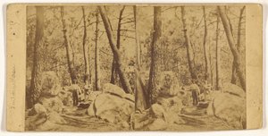 [Fontainebleau] alkotó: Unknown artist