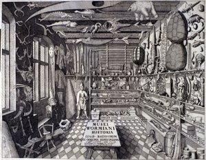 A „Musei Wormiani Historia” homlokzata, amely Ole Worm vagy Olaus Wormius kíváncsiskodóinak szekrényének belsejét mutatja alkotó: Unknown artist