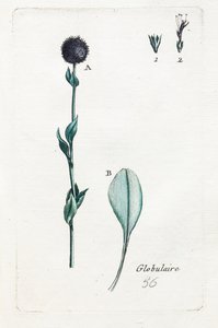 Gömb alakú alkotó: Unknown artist
