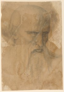 Egy idős szakállas férfi feje alkotó: Unknown artist