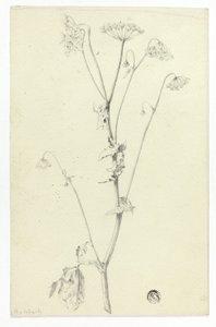 Bürök alkotó: Unknown artist