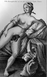 Hermafrodita lány 1751-ben, és a természetből merítették. alkotó: Unknown artist