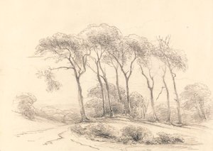 Magas fák alkotó: Unknown artist