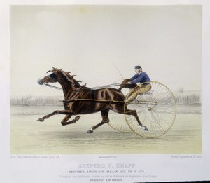 Lovaglás: F. Knapp juhász, ügető – a „” kentaurban”” alkotó: Unknown artist