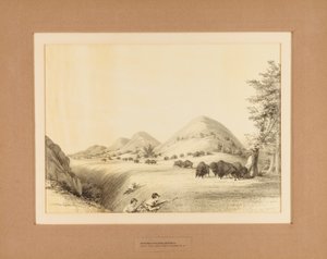 Bölényvadászok bölényt becserkésznek - 11. sz. alkotó: Unknown artist