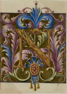 Illuminált "N" kezdőbetű akantuszlevelekkel egy kóruskönyvből alkotó: Unknown artist