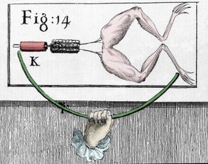Luigi Galvani olasz fizikus és orvos (1737-1798) kísérleteinek illusztrációja, amely elmagyarázza a béka lábait mozgató elektromos áram áthaladását. alkotó: Unknown artist