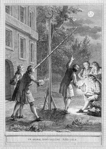 Illusztráció Jean de la Fontaine „Egy állat a holdban” című meséjéről alkotó: Unknown artist