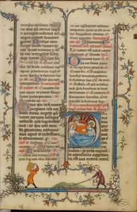 P kezdetű: A születés alkotó: Unknown artist