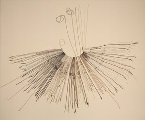 Inka Khipu (szálas rögzítőeszköz) alkotó: Unknown artist