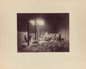 [Gyapjúválogatóház belseje, Walter Brown és Társaság] alkotó: Unknown artist