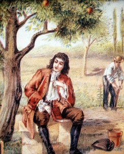 Isaac Newton (1642-1727), angol matematikus, fizikus és csillagász a gravitáció elméletére egy almafa kidőlését figyeli, ami a 19. század illusztrációja. alkotó: Unknown artist