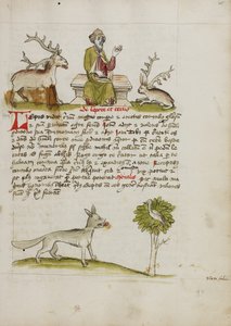 Jupiter mint idős, szakállas férfi egy szarvas és egy nyúl között trónol; Farkas a fa alatt alkotó: Unknown artist