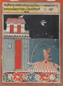 A szőrös ragihoz alkotó: Unknown artist