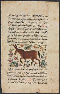 Egyéb (lelet), egy nezhantami szereposztásból (kiváló könyv érkezik) Shahmarda Ibn Abi al-Khairtól (forsa) alkotó: Unknown artist