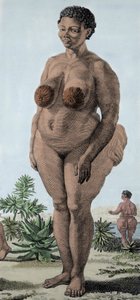 La Venus Hottentote, Bochiman fajtájú nő; (The Hottentot Venus,) 1815-ös metszet. alkotó: Unknown artist