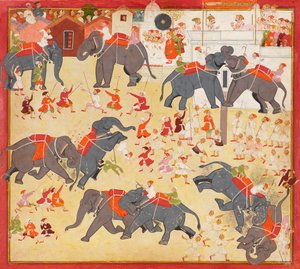 Maharana Raj Singh elefántharcot figyel alkotó: Unknown artist