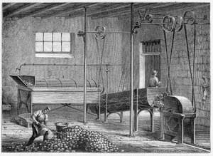 Mechanikus burgonya mosó, majd epierror és nagyobb - Figtree alkotó: Unknown artist