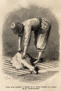 Birkát kaszál egy tatár fiatalember, Schusha-ban (Kaukázusi, Oroszország). Basile Vereschaguine 1864-1865-ben a Kaukázus tartományaiban tett utazást illusztráló metszet, megjelent a „le tour du monde”-ban, D