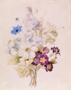 Nárcisz és más virágok alkotó: Unknown artist