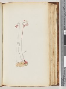 106. oldal Nincs felirat, a rajz befejezetlen alkotó: Unknown artist